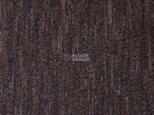 Грязезащитные покрытия Vebe Arco Pc Arco 80 фото 1 | FLOORDEALER